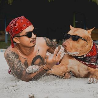 floki_andtheclan