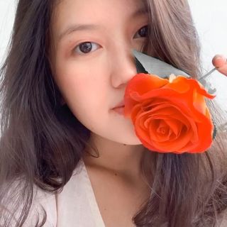 debynova