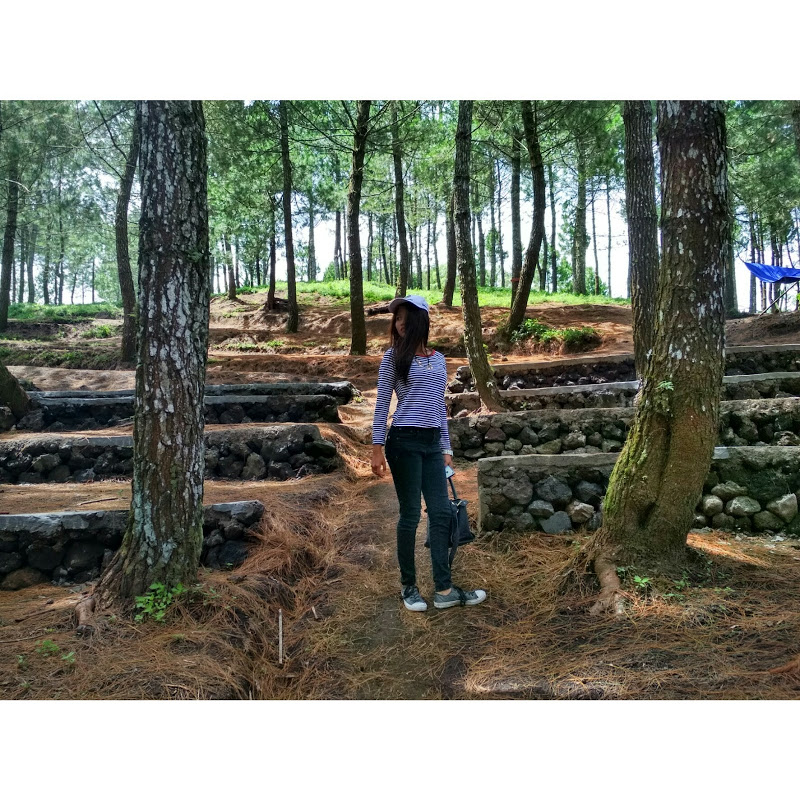 Nantha Raed Harlequinn