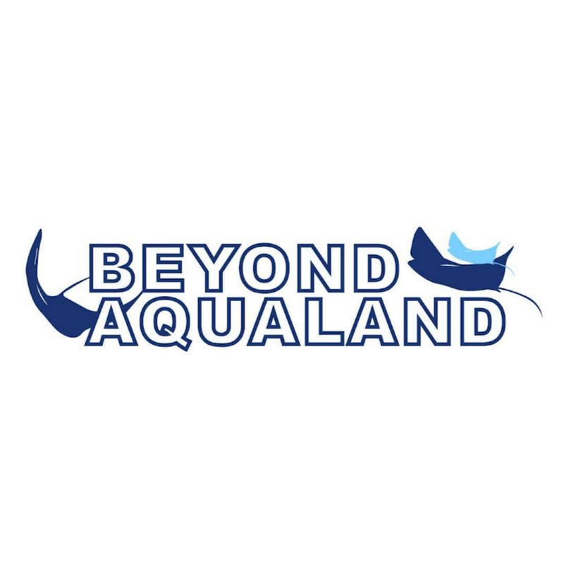 Beyond Aqualand